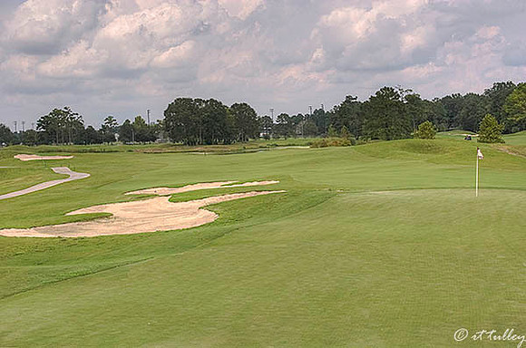 Atchafalaya #12