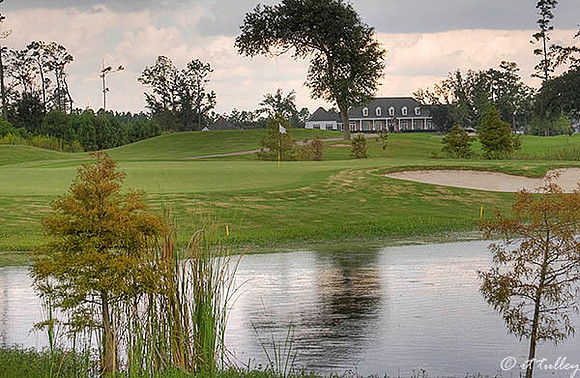 Gray Plantation #17