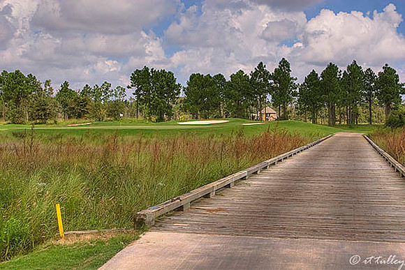 Gray Plantation #7