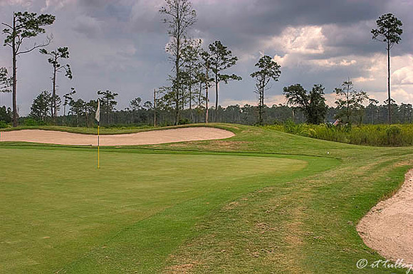 Gray Plantation #11