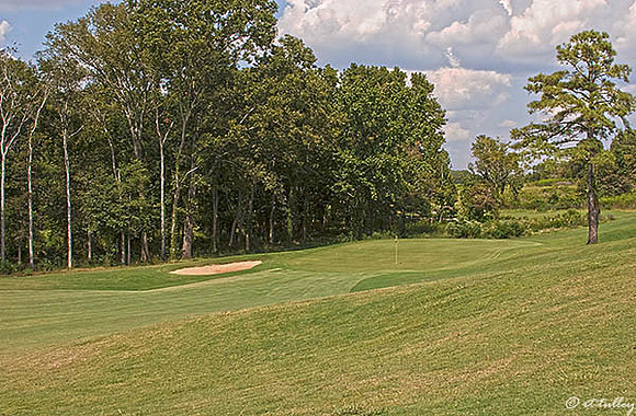 Black Bear GC #7