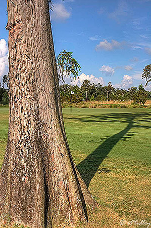 TPC Louisiana #3