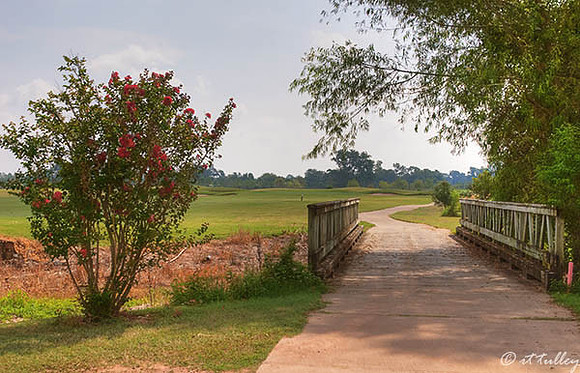 Oakwing GC Bridge at #15