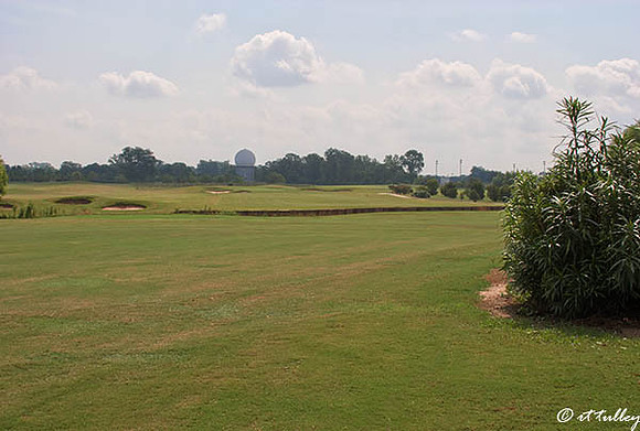 Oakwing GC #15