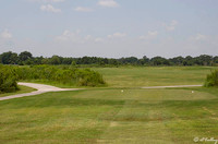 the Wetlands #2