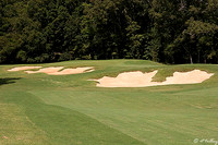 Black Bear GC #1