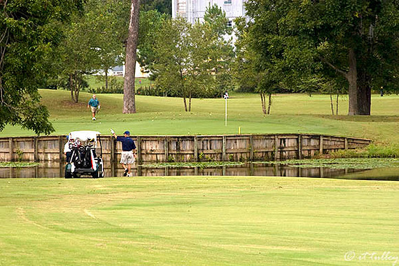Oakwing GC #11