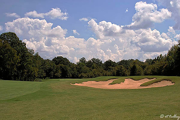 Black Bear GC #2