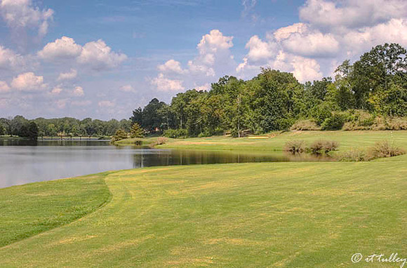 Olde Oaks Oak #2