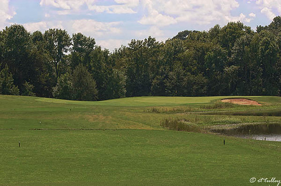 Black Bear GC #4