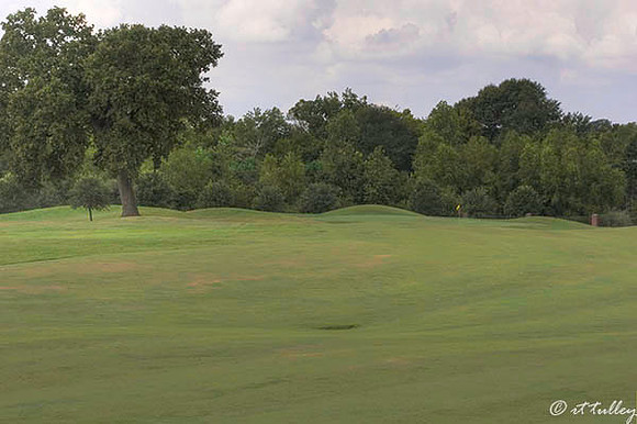 Olde Oaks Cypress #6