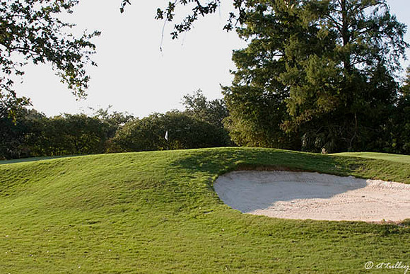 Audubon GC #12