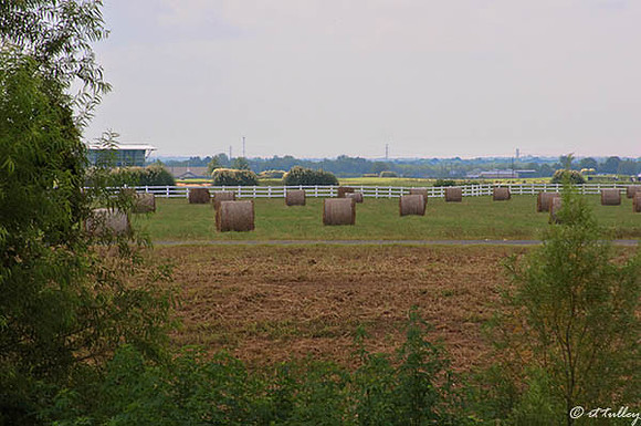 Oakwing GC Hay Rolls