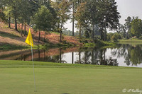 Olde Oaks Cypress #1