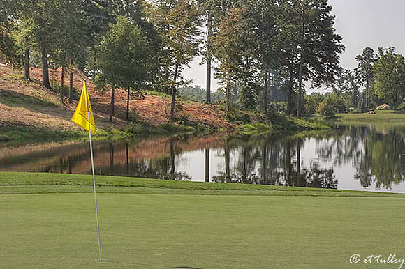 Olde Oaks Cypress #1