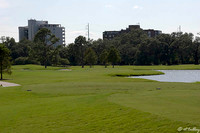 Audubon GC #5