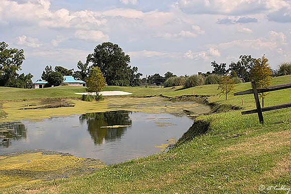 the Island #7