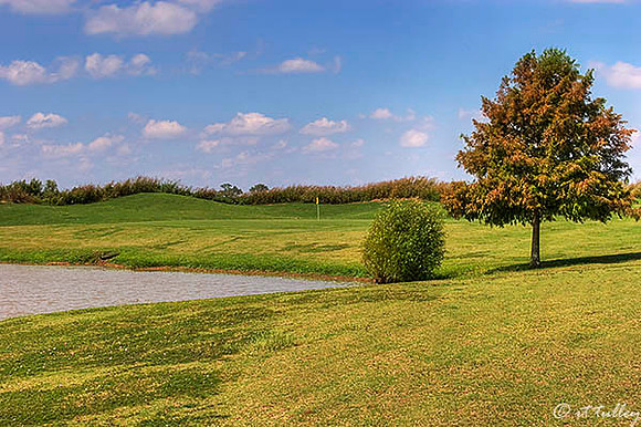 Olde Oaks Meadow #8