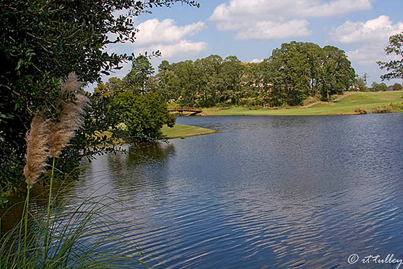 Olde Oaks 80 Acre Lake