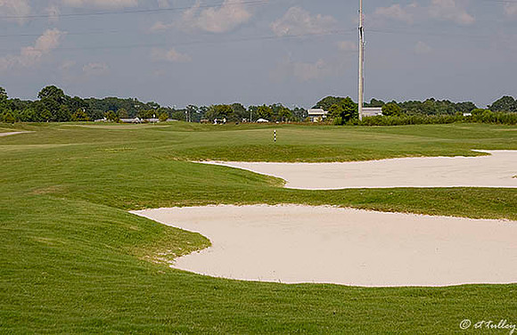 the Wetlands #15