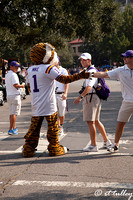 Mike the Tiger Mascot