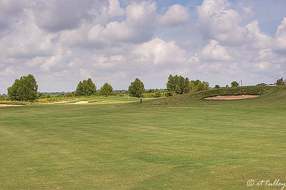 Oakwing GC #14