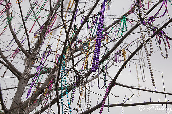 "mardi gras bead tree"