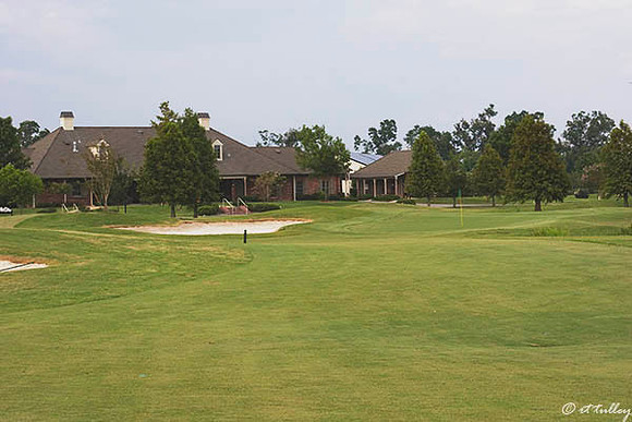 the Island #18