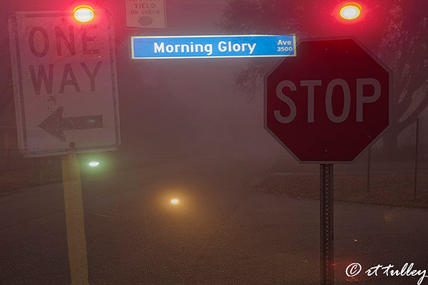 signs