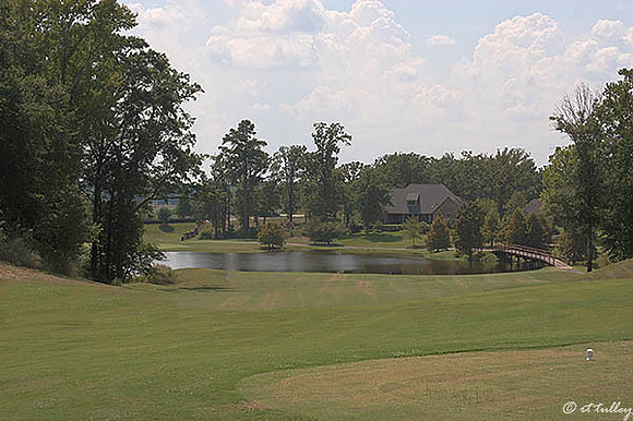 Olde Oaks Oak #9