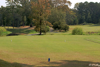 Olde Oaks Cypress #2