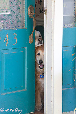 attention, cupcake and oakley in doorway