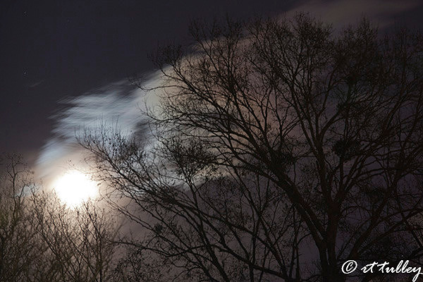 moon