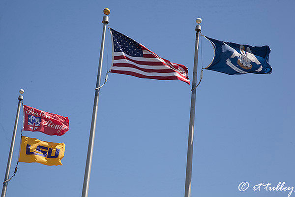 flags, baton rouge, lsu, USA, louisiana