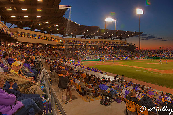 baseball at the box, lsu vs kentucky