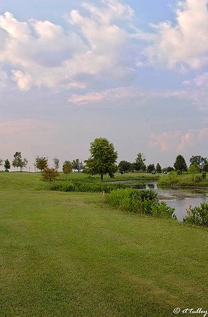 the Island #18
