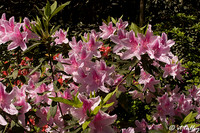 April 14c