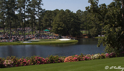 Azaleas on Par Three Course