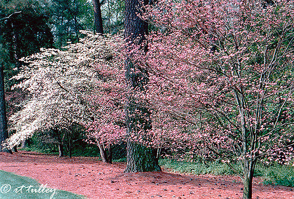 April 14n