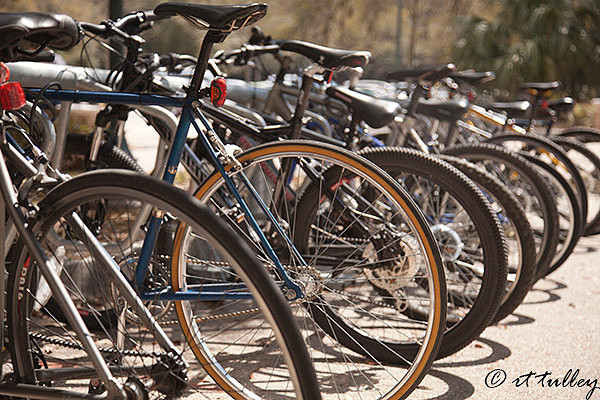 bicycles