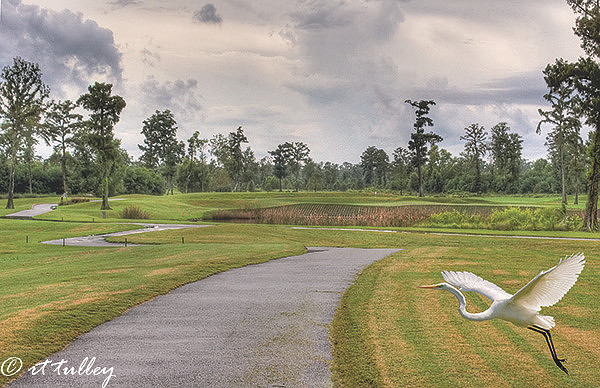 tpc #18, #17