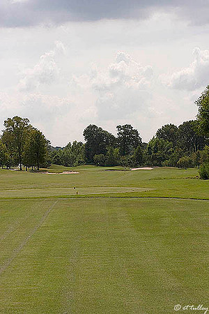 Olde Oaks Cypress #8