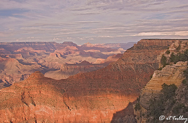 grabd canyon, trailview overlook
