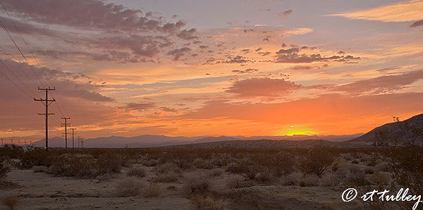 dessert, near joshua tree national park,sunset