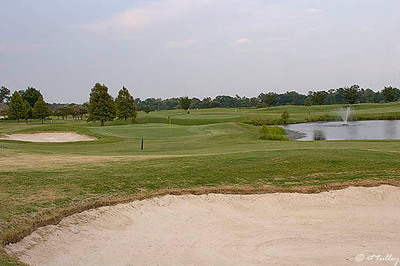 the Island #18