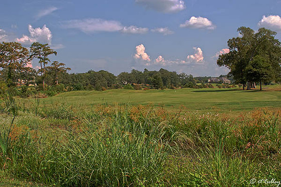 Olde Oaks Meadow #1