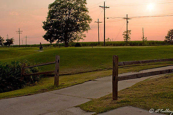 the Island #12 Tee