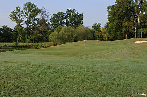 Oakwing GC #4