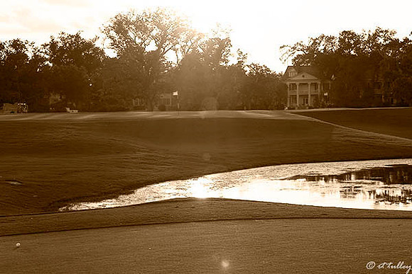 Audubon GC #17 Green B/W