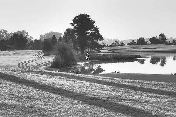 Oakwing GC #4 B/W